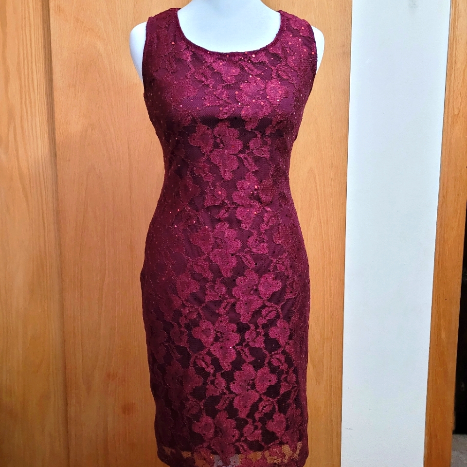 Lace Midi Dress Nwot